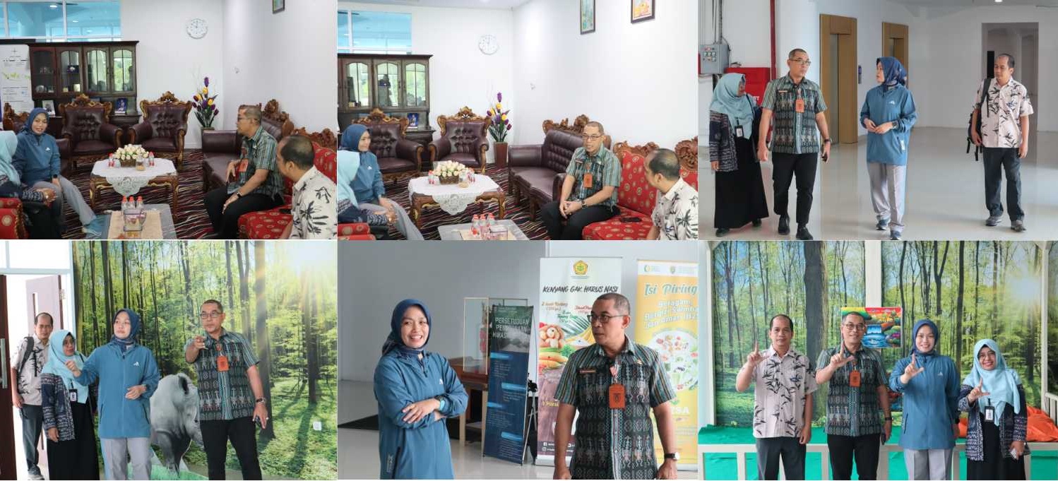 Yayasan Terbang Indonesia Survei Lokasi Pembuatan Kafe Bernuansa Alam di Dinas Perpustakaan dan Kearsipan Provinsi Lampung
